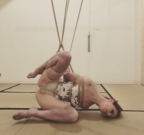 Auromineo beautiful star gallery