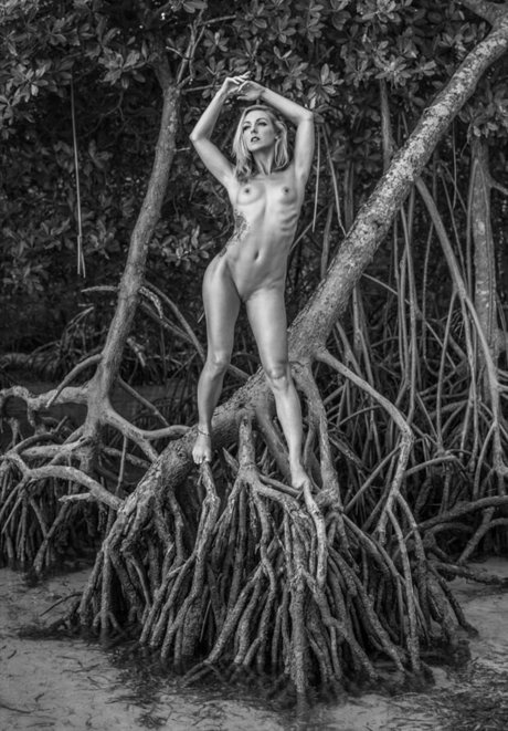 Marie Brooks high quality model galleries