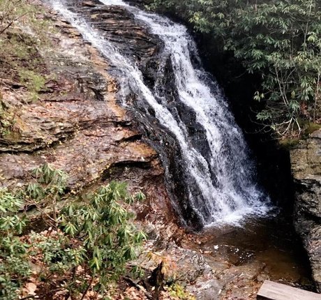 Elsalmorton nude model img