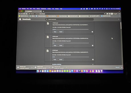 Missvsp model adult photos