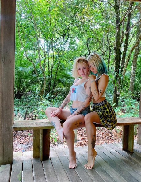 codon sg star perfect archive