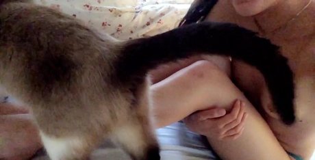 Ashley Bednarek sexy pornstar img