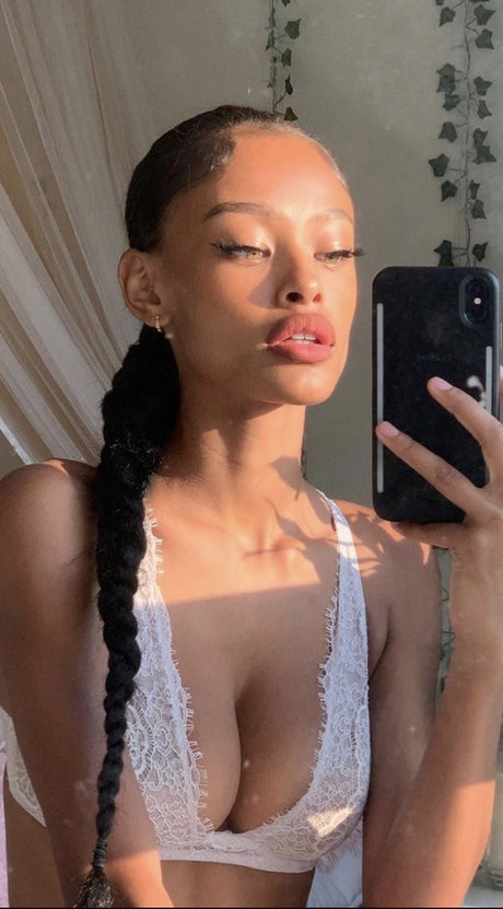 Vinetria hd model img