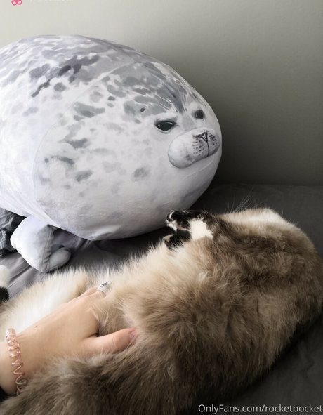 rocketpocket Profile photo