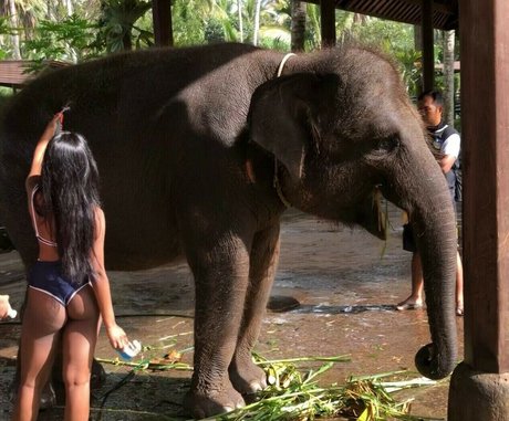 Zahra Rai model art archive