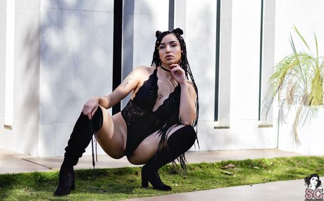 Rennvader model best galleries