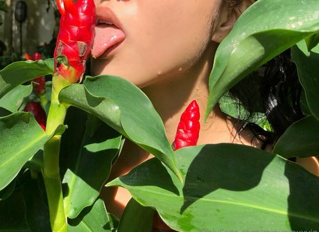 Minymaxxvip nude pornstar pics