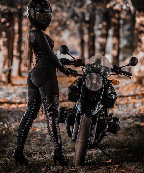 Aufzweireifen model free gallery