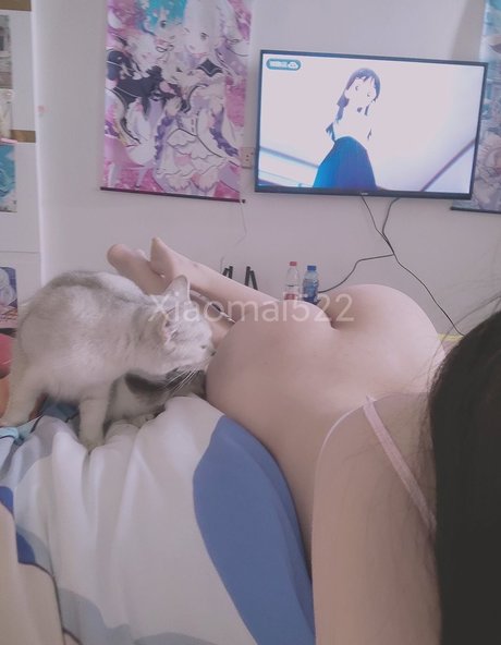 Xiaomai522 star nice pics