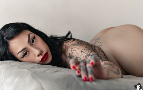 Repasquinelli star pretty picture