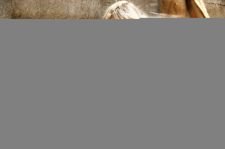 Susie Owens adult model pics