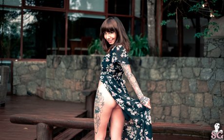 Eveelsg star high quality images