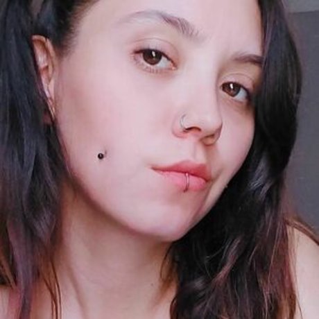 Ale Kat star art picture