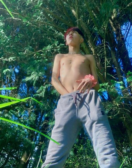 dolladills star erotic archive