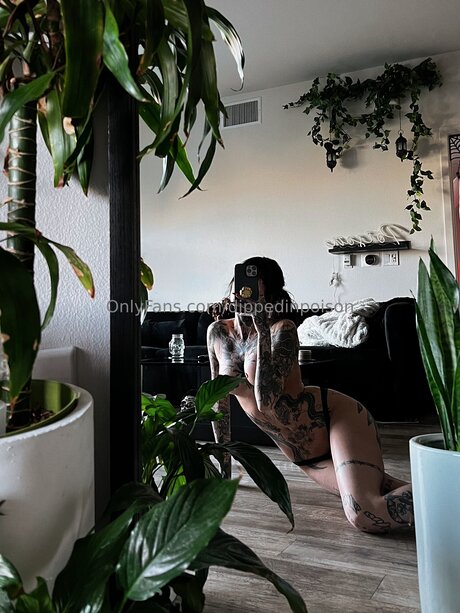 Dippedinpoison sex model archive