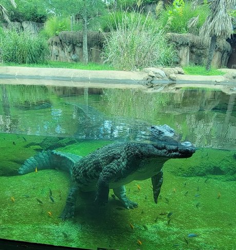 prone onlyfans xxx archive