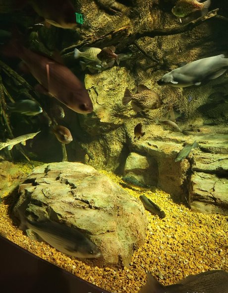 geekikitten sex model galleries