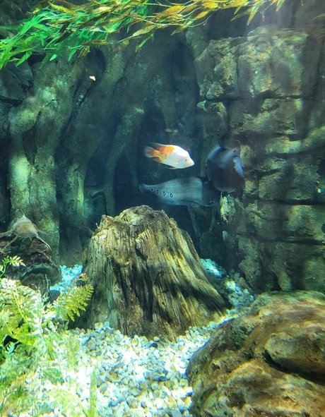 geekikitten perfect actress img