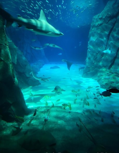 amateur chubby onlyfans sexy naked picture