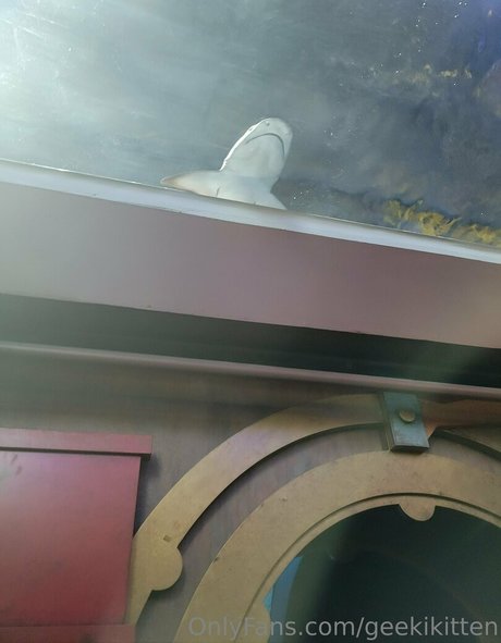 geekikitten pornstar erotic pics