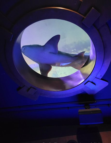 geekikitten sex actress pictures