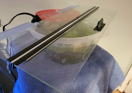 geekikitten pornstar erotic pics