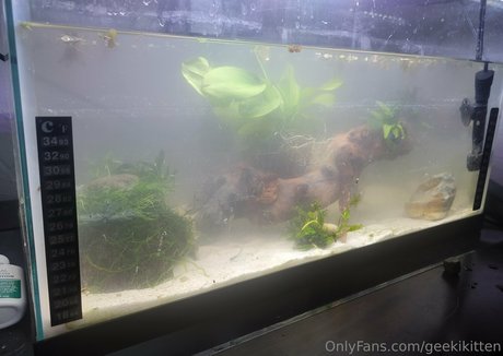 geekikitten pornstar naked photo