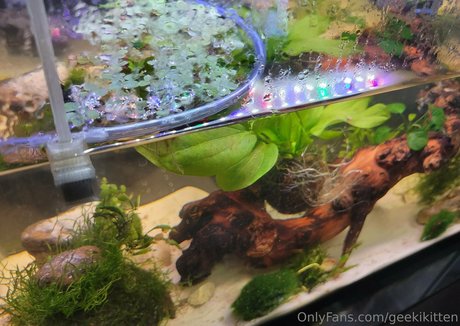 geekikitten model pretty galleries