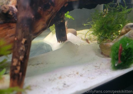 blonde shemale onlyfans sexy naked pics