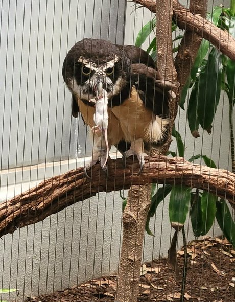 geekikitten naked model picture