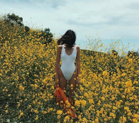 huge anal dildo onlyfans xxx archive