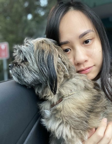 elixir elf nude star img