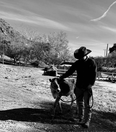 beautiful japanese onlyfans nudes pictures