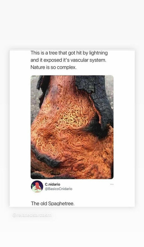 mark magnus420 model nice pictures