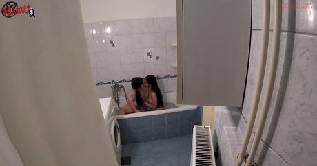 dollscultvideo pornstar top picture