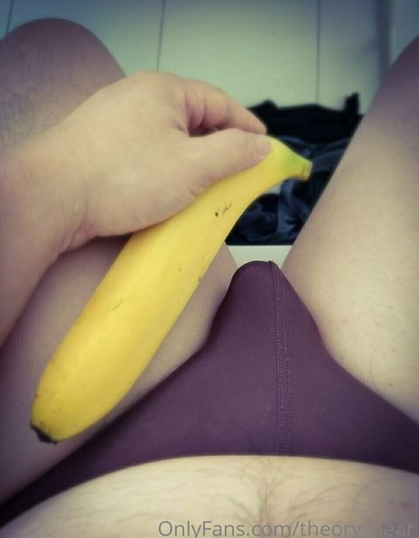 theory bear hd model archive