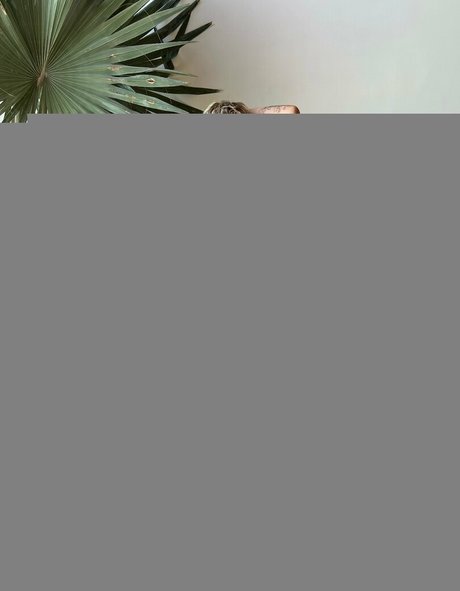 lems7free star photos