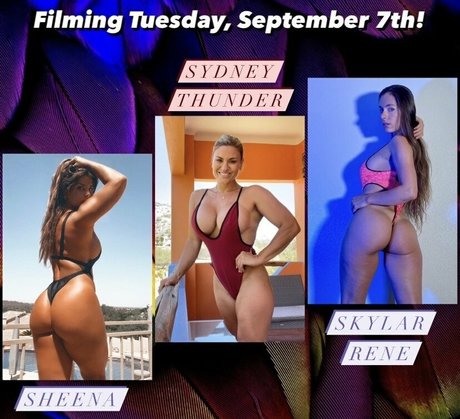 skylarrene Profile photo