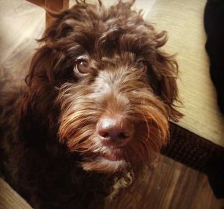 tennis onlyfans erotic gallery