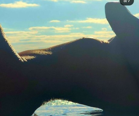 popular onlyfans hot porn archive