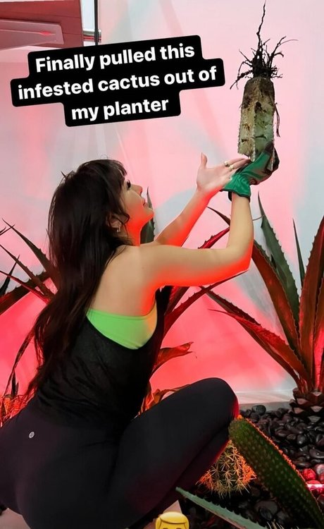 Sssniperwolf pornstar free image