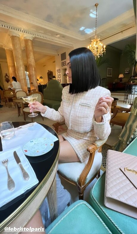 The Bella Twins_ best star pictures