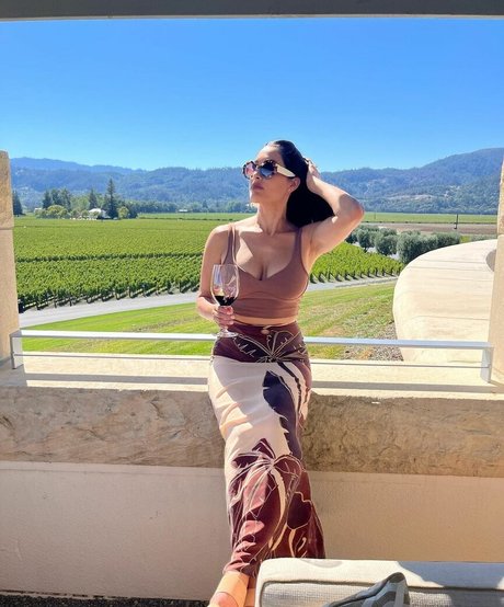 The Bella Twins_ high quality actress gallery