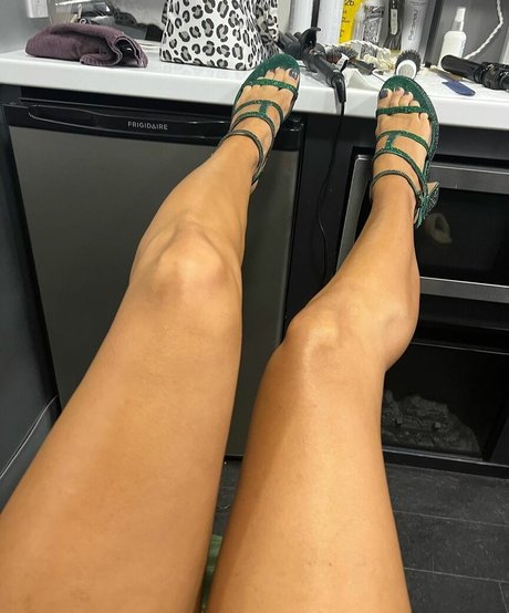 The Bella Twins_ star high quality picture