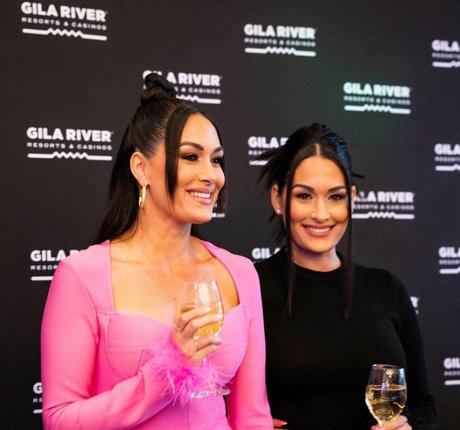 The Bella Twins_ pornographic star picture