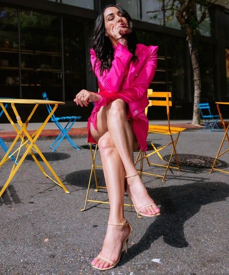 The Bella Twins_ perfect star gallery