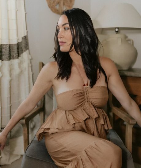 The Bella Twins_ pornographic star pics