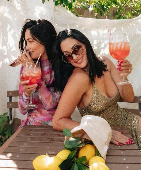 The Bella Twins_ pornstar sexy img