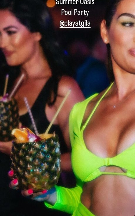 The Bella Twins_ model nude image