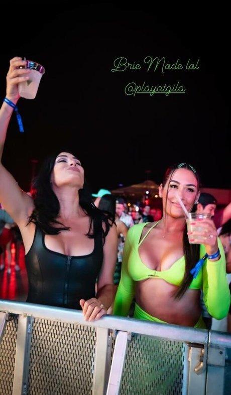 The Bella Twins_ nude actress gallery